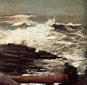 Winslow Homer Driftwood oil painting artist